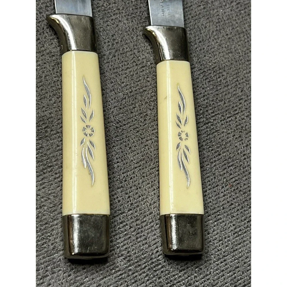 VTG Regent Sheffield Cutlery Stainless Steel Cheese Knives Bakelite Flowers